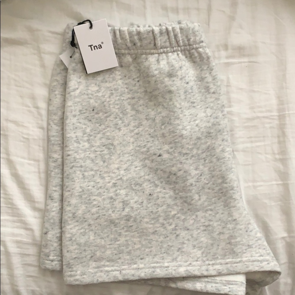 Grey sweatshorts Aritzia TNA